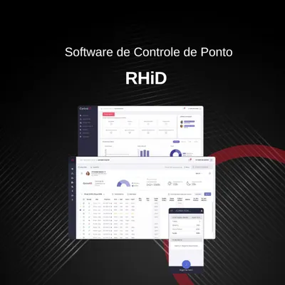 RHiD, software de ponto (tela 3)